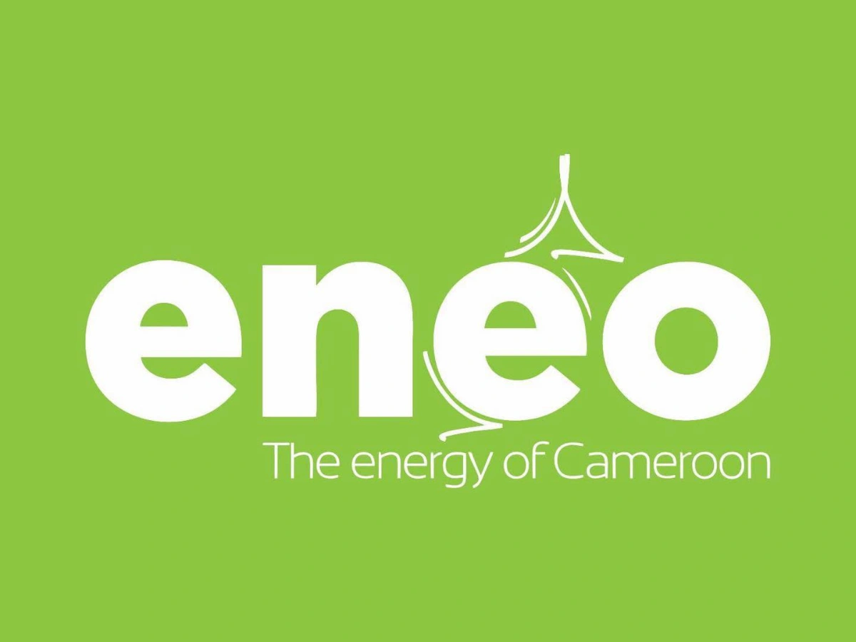 Au Cameroun, Paul Biya nationalise l'électricité en transformant Eneo en Socadel — image 2